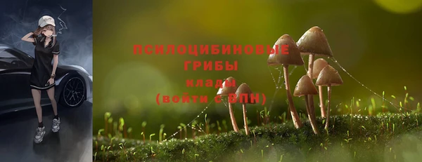 дживик Волгодонск