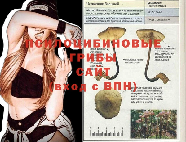 дживик Волгодонск