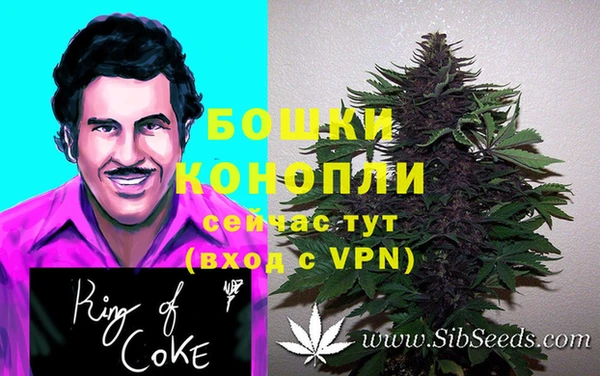 мяу мяу мука Новочеркасск