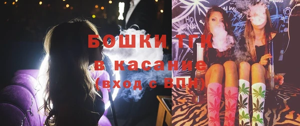 мяу мяу мука Новочеркасск