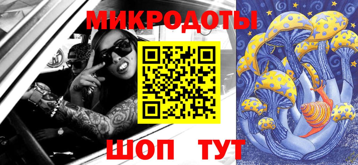 Галлюциногенные грибы Psilocybe Благовещенск